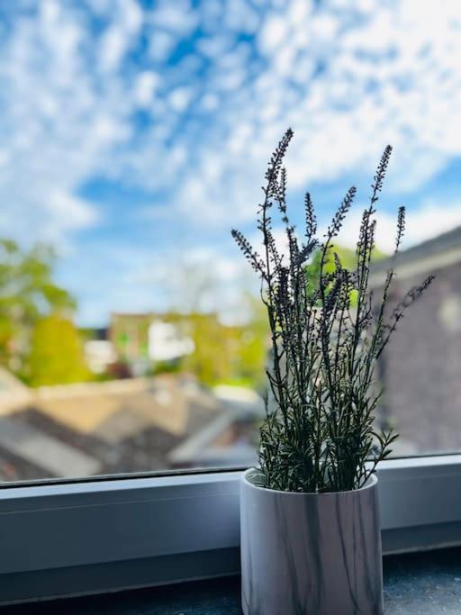 Charmant Petit Appartement. Liège Eksteriør bilde
