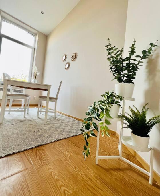 Charmant Petit Appartement. Liège Eksteriør bilde
